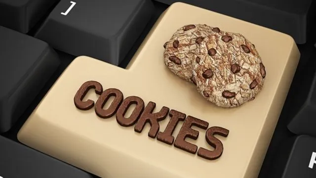 o que significa aceitar todos os cookies